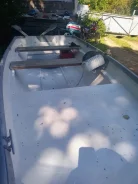 �����-�����. 2006 ���, ����� 3,8��., ��������� ���������, 12��.�., ������ ����