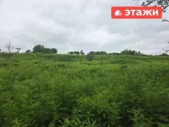 ��������� ��������� ������� �� ������: ���� ������, ���. ������, ��5. 10����., �������������. ���� ������� ����