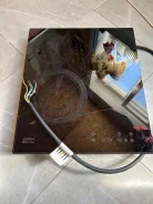 �������� ����������� �������������. ����