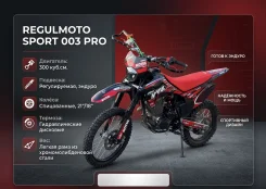 Regulmoto Sport-003 PR Pro. 300����. ��., ��������, ���������, ������ �� �� ����