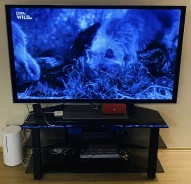 Panasonic Viera TX-PR65VT60. ������ ����