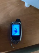 Alligator. ����