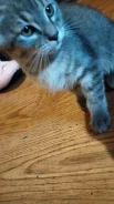 ����������� �����. ����