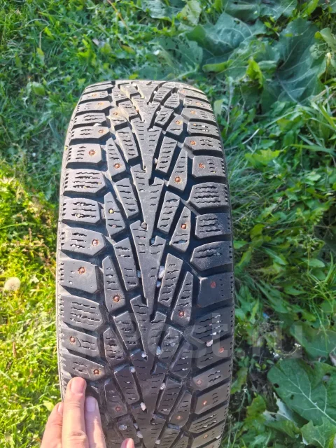Presa PI01. ������, ����������, 2018 ���, �/�, ����� 25 % ����
