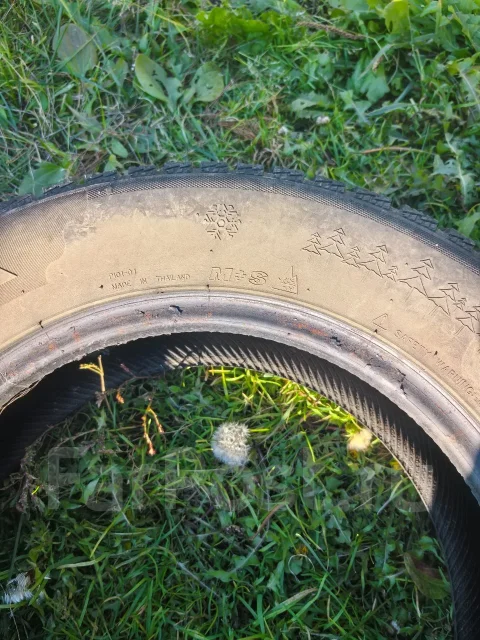 Presa PI01. ������, ����������, 2018 ���, �/�, ����� 25 % ����