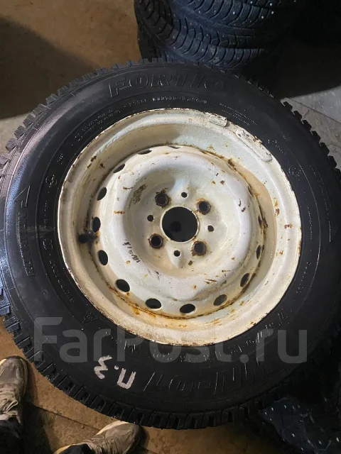 Fortio WN-01. ������, ����������, �/�, ����� �� 5 % ����