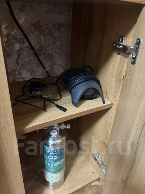 ���������. ����