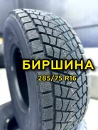 Tri Ace Snow Fox. ������, ��� �����, 2026 ���, ����� ����