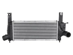 �������� ����������� Nissan Pathfinder R51 2005-2010, Pathfinder R51 2010-2014, Navara III D40 2004-2010, Navara III D40 2010-2015 NS14461360 ����