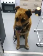 ������. ����