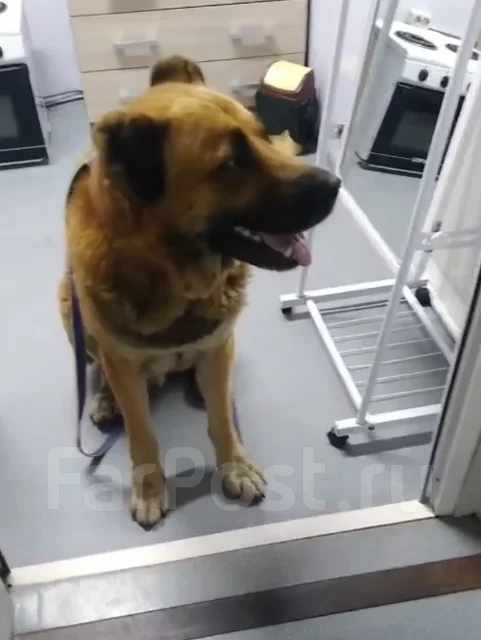 ������. ����