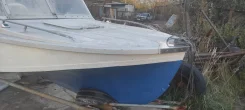 ���� 3. 2026 ���, ����� 5,5��., ��������� ���������, 130��.�., ������ ����