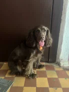 ������. ����