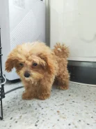 ��������. ����