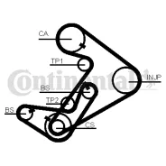������ �������� ���� ct938 Contitech CT938 ����