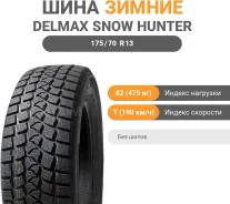 Delmax Snow Hunter