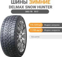 Delmax Snow Hunter