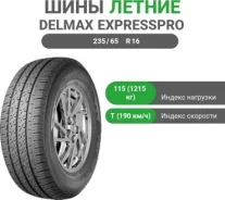 Delmax ExpressPro