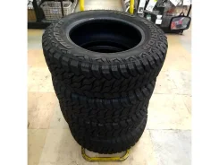 Monsta Mud Warrior