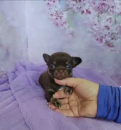��������. ����