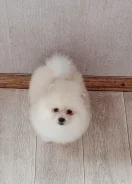 ����. ����