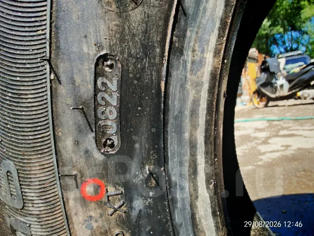 Triangle TR257. ������, ��� �����, 2022 ���, ����� ����