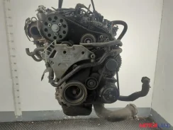 ��������� Volkswagen Passat 7 2010-2015 ������ 11979046 03L903023B ����