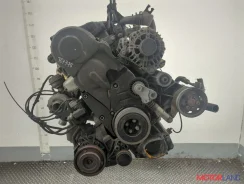 ��������� Volkswagen Passat 5 2000-2005 11979159 038903018Q ����