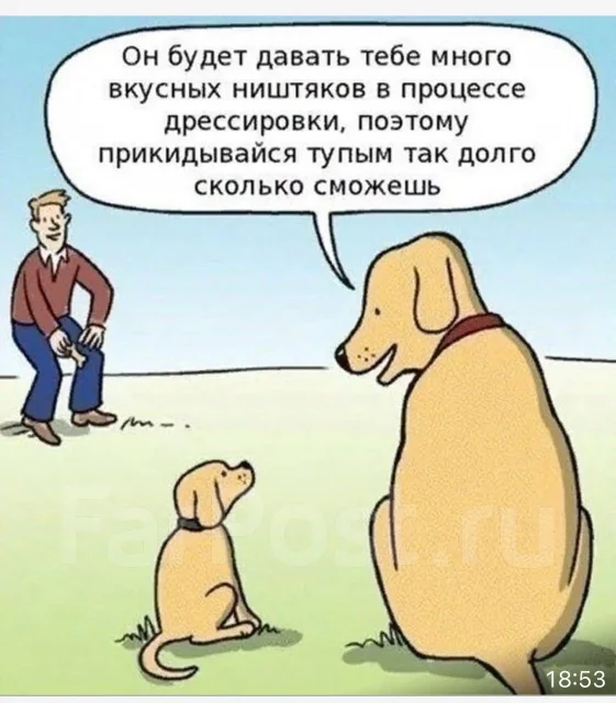 ������������ ��������������� ������. ����