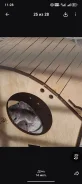 ����. ����