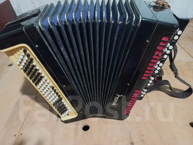 �����. ����