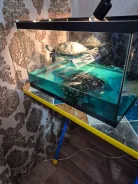 ����� � ������� ���� ������� ����