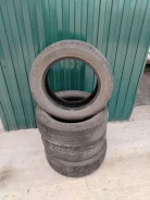 Triangle THW10. �����������, 2018 ���, �/�, ����� 40 % ����