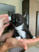 ������� �����. ����