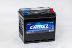 Camel