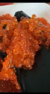 ���� ����. ����