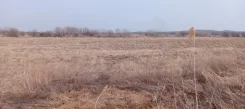 ��������� ����������� ������������ � ��������� ����� �����. 966.9����., ��������������������, �������������, ����. ���� ������� ����