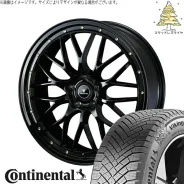 Weds Novaris Assete M1