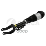 ����������� Ossca 79690 79690 ����