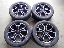 RAYS Team Daytona DS5