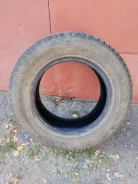 Avatyre. ������, ����������, 2025 ���, �/�, ����� �� 5 % ����