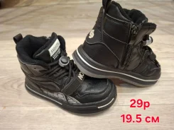 �������. 29 ����