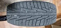Nordman 1. ������, ��� �����, 2024 ���, �/�, ����� 10 % ����