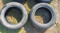 Nexen Winguard Ice Plus. ������, ��� �����, 2019 ���, �/�, ����� 50 %. �������� ������� ����