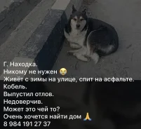 ������. ����