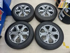 Dunlop Wild Cruising KC-X