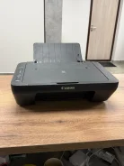 ��� ��������. ����