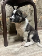 ������. ����