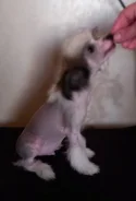 ��������� �������� ������. ����