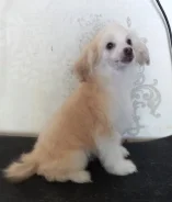 ��������� �������� ������. ����